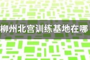 柳州国家篮球训练基地在哪个位置